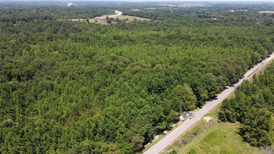 0 Highway 158, Harviell, MO 63945 - photo 4