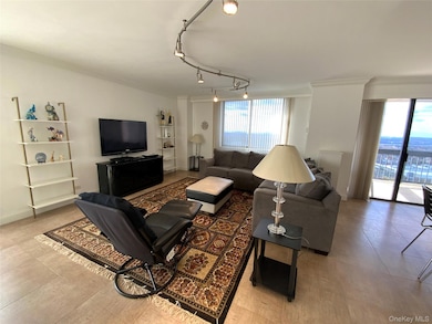 North Shore Towers unit 32O, Floral Park, NY 11005 - photo 2