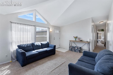 7659 Marmot Point, Colorado Springs, CO 80922 - photo 6