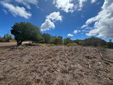 0 Kaana St unit 499, Maunaloa, HI 96770 - photo 7