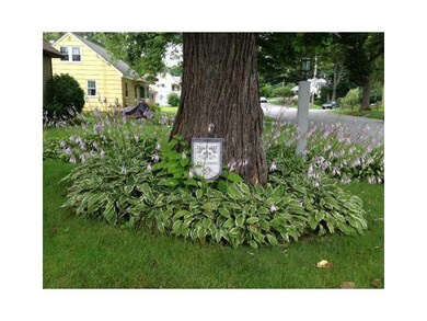 Land. Front yard