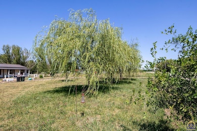 Mature Trees
