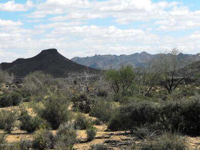 Lot 339 Pic 2