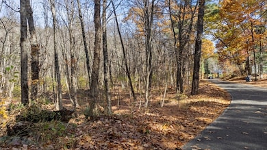 Lot 0 N Sturbridge Rd, Charlton, MA 01507 - photo 6