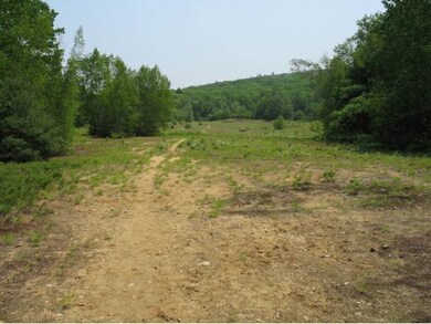 lots 19-20-21 New Rd, Salisbury, NH 03268 - photo 2