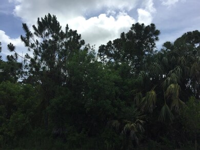 Vacant Land in Gregor Woods.