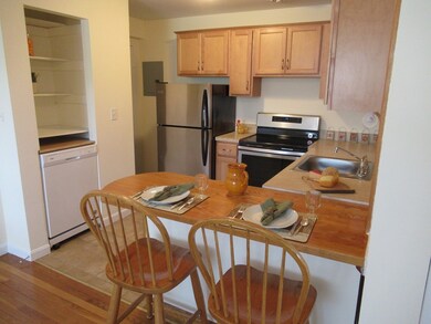 62 Carey Ave unit 10, Watertown, MA 02472 - photo 6