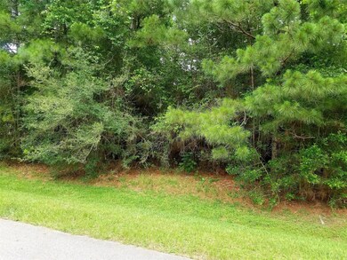 2018 Timbergreen Cir, Magnolia, TX 77355 - photo 7