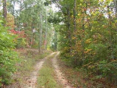 209 W H 7, Salem, SC 29676 - photo 3