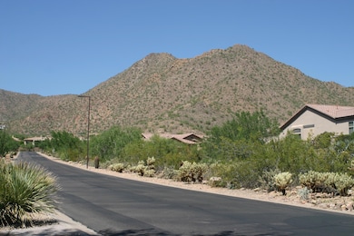 Driveway View