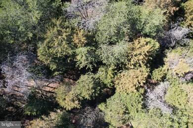 26847 Johnson Run Rd, Petersburg, WV 26847 - photo 4