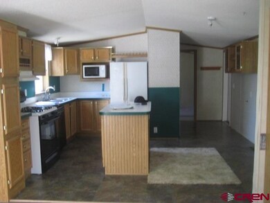 0 NW 2nd St unit 749247, Cedaredge, CO 81413 - photo 7