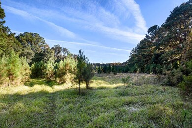 2418 Plow Ground Rd, Johns Island, SC 29455 - photo 3