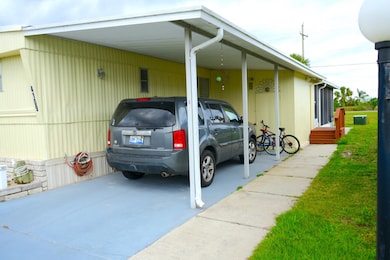 Side View