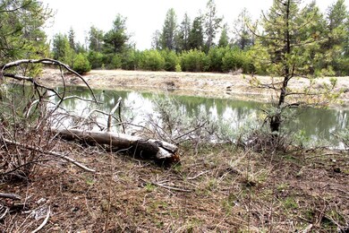 Pond View From Lot