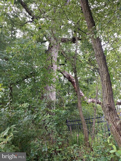 0 Johnsville Rd unit 1003841640, Eldersburg, MD 21784 - photo 5