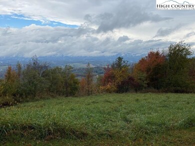 17 Twin Oaks Mountain Blvd, Sparta, NC 28675 - photo 3