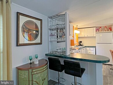 20053 Atlantic Ave unit F87, Rehoboth Beach, DE 19971 - photo 4