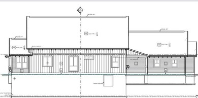 7207 Coreopsis east side