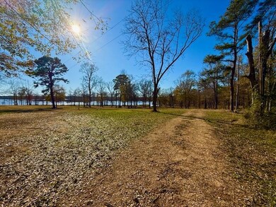 346 Bragg Drive Bragg Dr, Hemphill, TX 75959 - photo 3