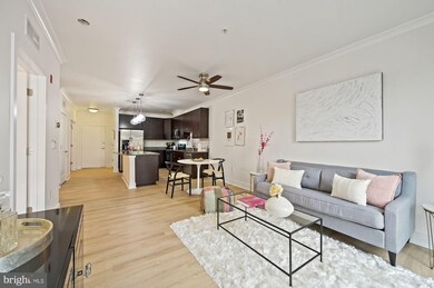 815 N Patrick St unit 203, Alexandria, VA 22314 - photo 6