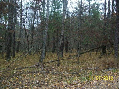 52 Osage, Baldwin, MI 49304 - photo 5