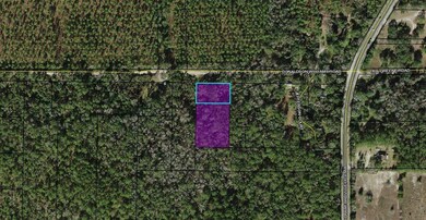 0 Donaldson Williams Rd unit 342586, Crawfordville, FL 32327 - photo 4