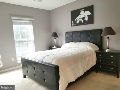 11306 Westbrook Mill Ln unit 204, Fairfax, VA 22030 - photo 3