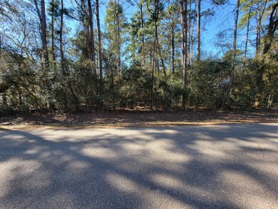 31011 Sugar Bend Dr, Magnolia, TX 77355 - photo 2