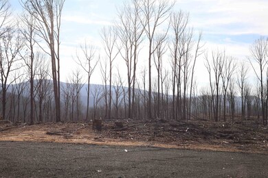 tbd1 Calf Mountain Rd, Waynesboro, VA 22980 - photo 5