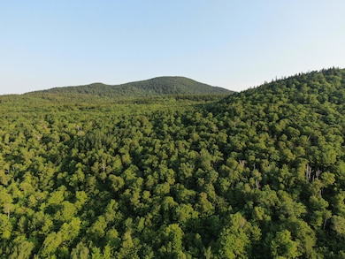 M8L4 Mountain Rd, Mount Chase, ME 04765 - photo 3