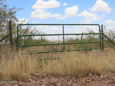 Entrance gate SE corner