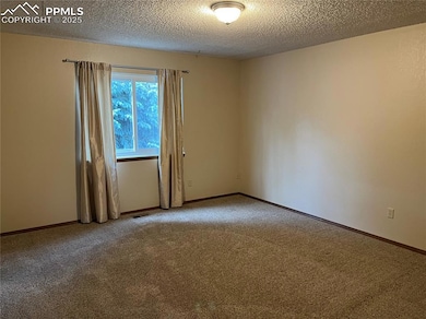 Carpeted master bed room featuring a textured ceil