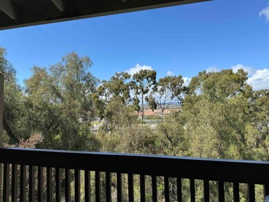 4216 La Casita Way unit 3, Oceanside, CA 92057 - photo 4