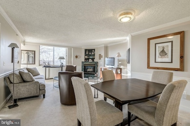 The Williamsburg unit 417, Arlington, VA 22201 - photo 3