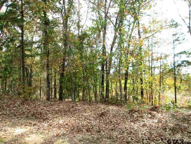 2085 Equestrian Ln, Tyler, TX 75703 - photo 4