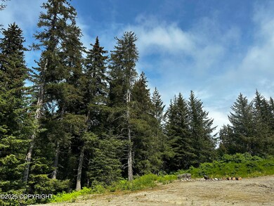 Tall trees