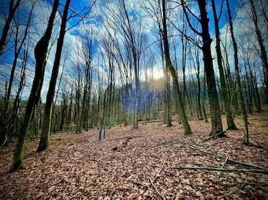 00 Town Line Rd, McGraw, NY 13101 - photo 2