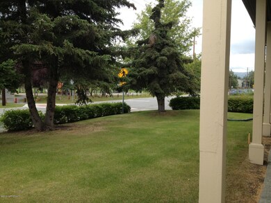 Front Yard