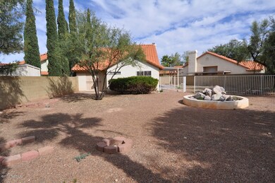 back yard