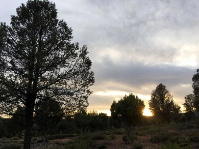 8 S Palomino Dr, Payson, AZ 85541 - photo 3