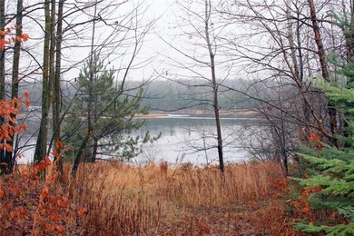 N6460 Laverne Ln, Hawkins, WI 54530 - photo 5