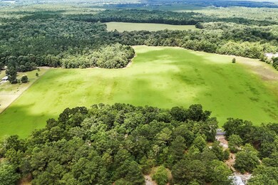 Lot 2 Mt Beulah Rd, Windsor, SC 29856 - photo 3