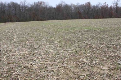 0 N 900 E unit 201753829, Cannelburg, IN 47519 - photo 7