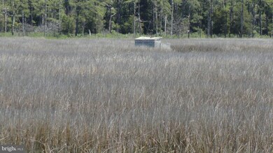 0 Tedious Creek Rd unit 1000100997, Toddville, MD 21672 - photo 3