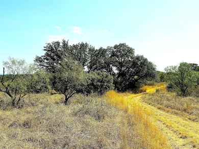 Co Rd 404, Llano, TX 78643 - photo 3