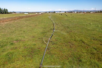 02DJI_0919-Enhanced-NR-1-HDR-min
