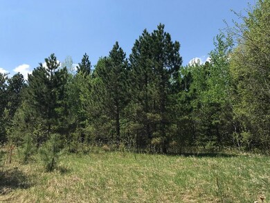 TBD State Hwy 34, Park Rapids, MN 56470 - photo 5