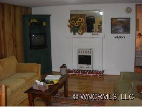gas heater in LR