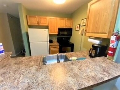 160 Deer Park Dr unit 147-2 A, Woodstock, NH 03262 - photo 3